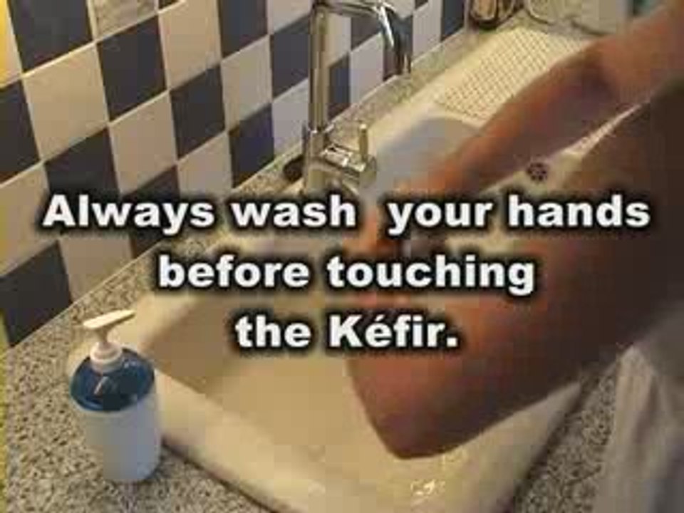 Kéfir: user guide, how to make the fruit's kéfir