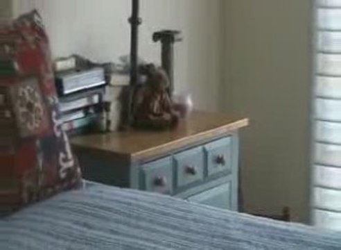 McLean, VA Real Estate - 1448 Harvest Crossing in Evans Farm