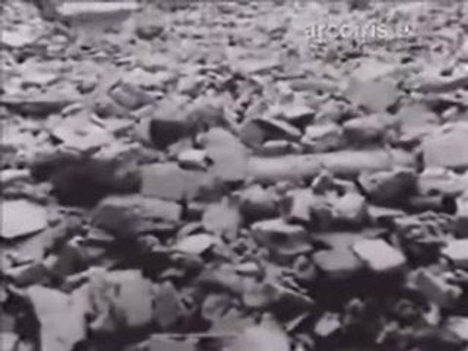 La revolución fusiladora
