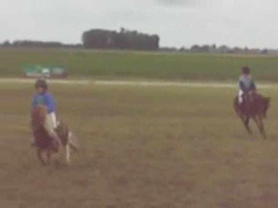 Course des shetlands le 17 mai 2009 aux Molières