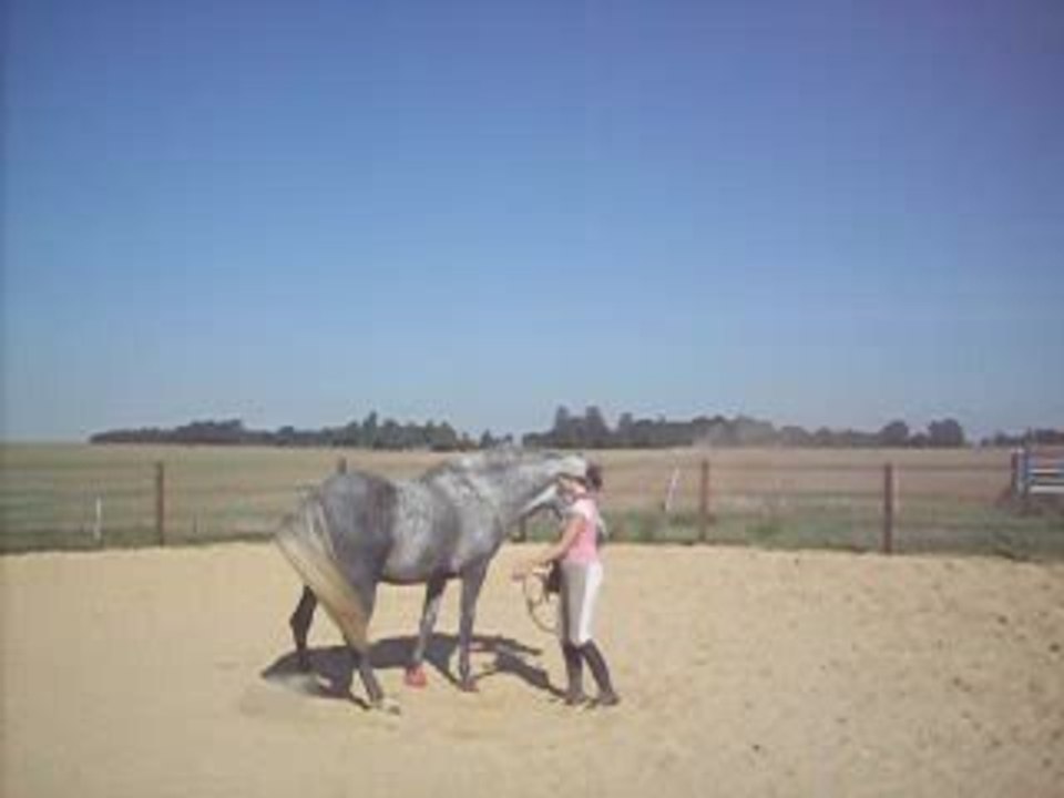 progrès en mobilisation des hanches!