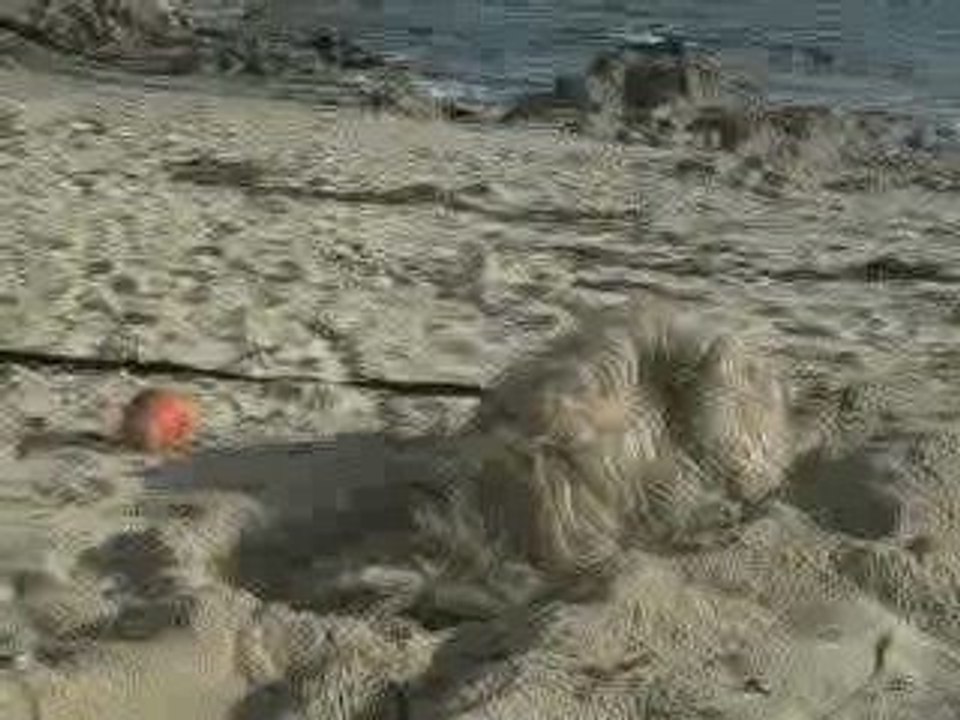 DEUS A LA PLAGE