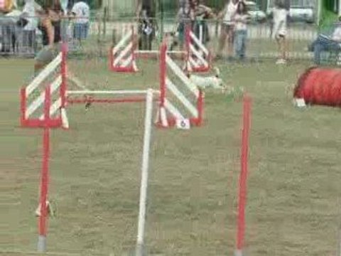 Braxi Jump Trèbes 09