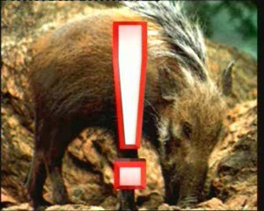 La.Chute.Du.Darwinisme 6_6