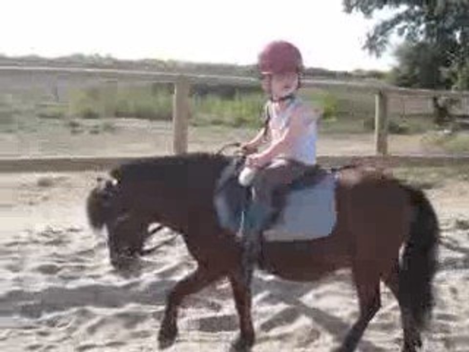 PONEY Vianney 2
