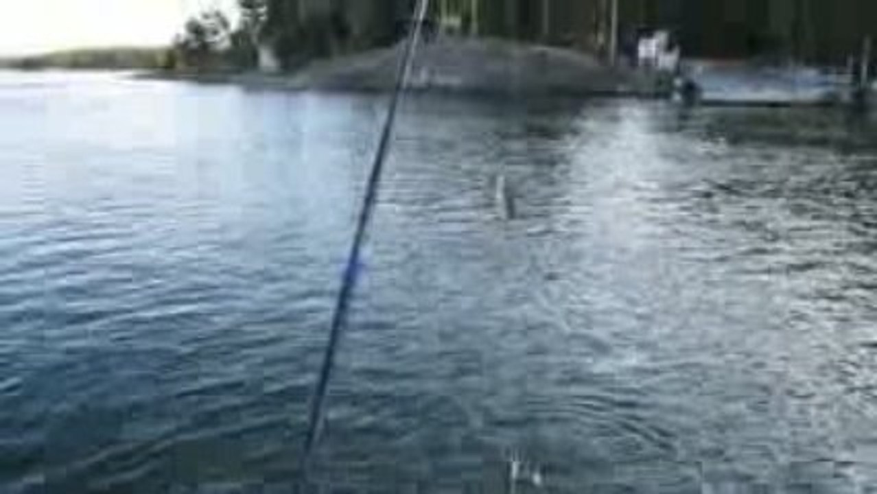 CAPARIYLE LEVREK AVIM 23.09.2009 006