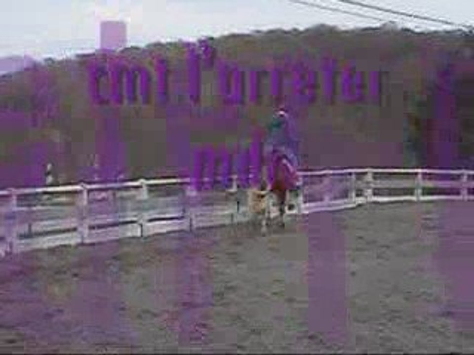 montage castor