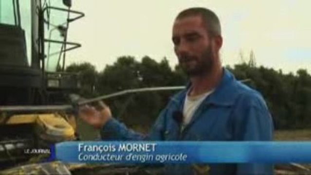 Le chanvre, nouvel isolant écologique (Sainte-Gemme-La-Plaine)