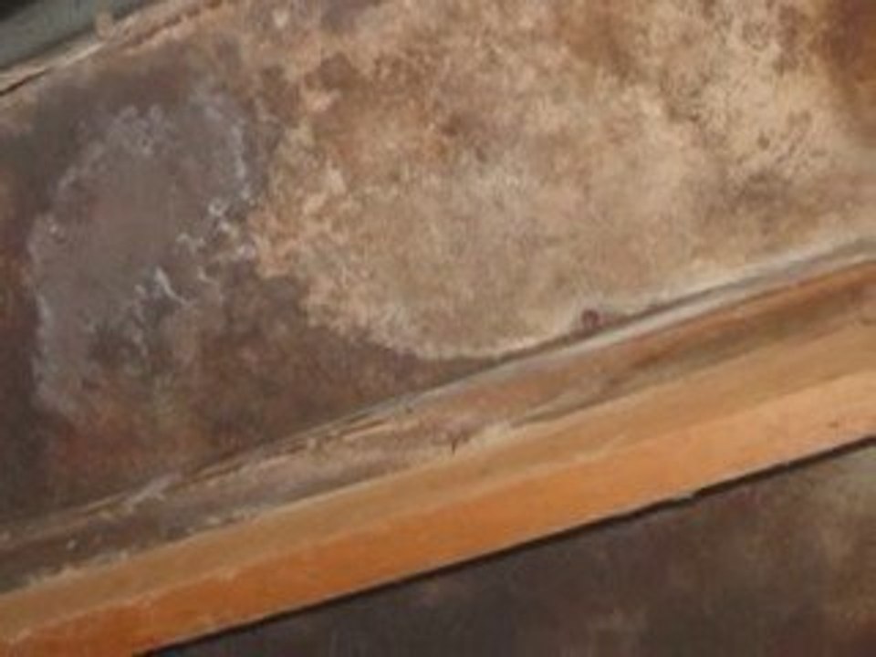 Water Damage Restoration, Mold Remediation!