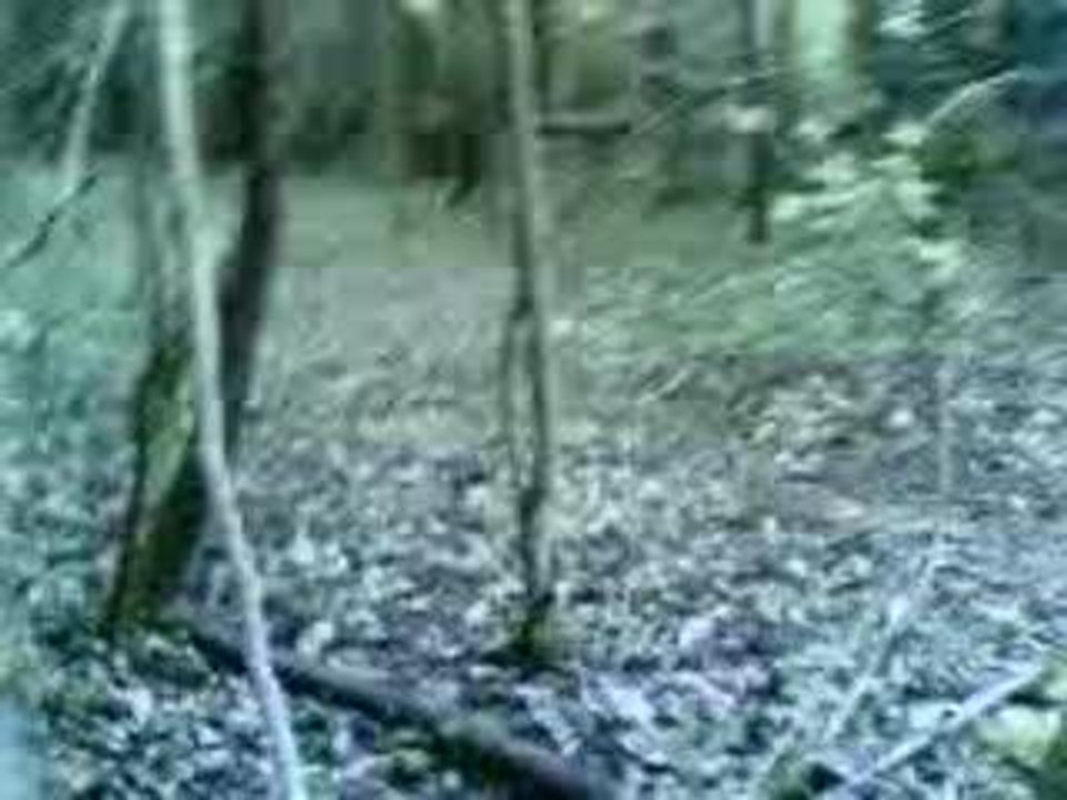 Airsoft