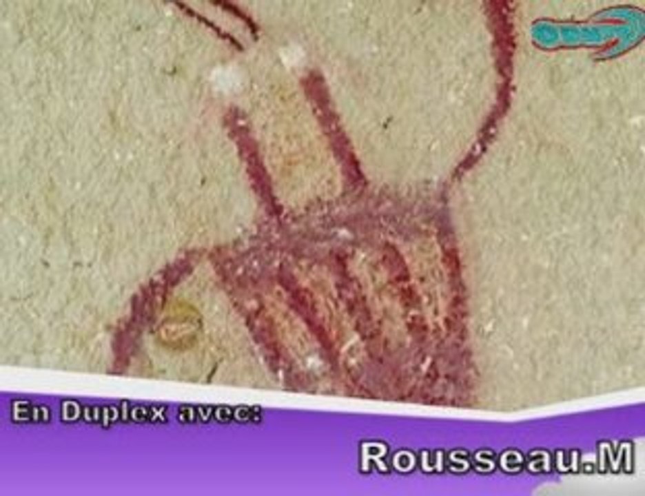 Les Infos des Repas de Limoges (part.2)