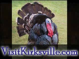 Missouri Turkey Hunting