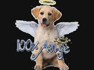 Voila deja 1 ans mon ti coeur