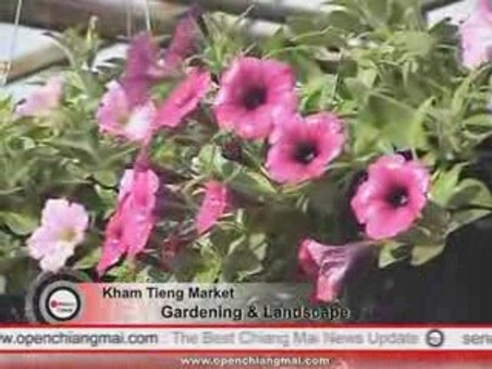 Chiang Mai News 23/09/09