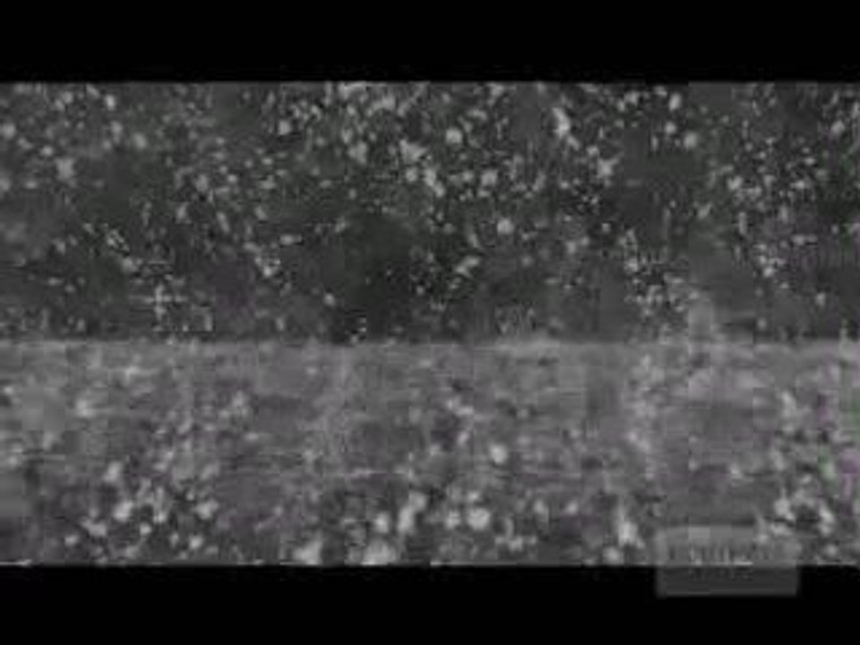 The Lighthouse - A Streetlight Song