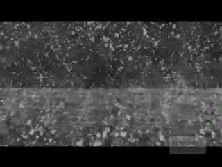 The Lighthouse - A Streetlight Song
