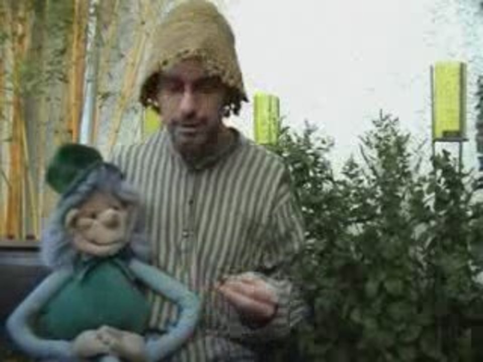 Tacotin le Lutin - Dans mon Jardin - La menthe