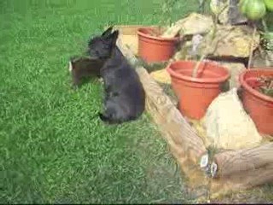 Edgard au jardin
