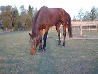 coucher de soleil b. et u. 24 sept 2009