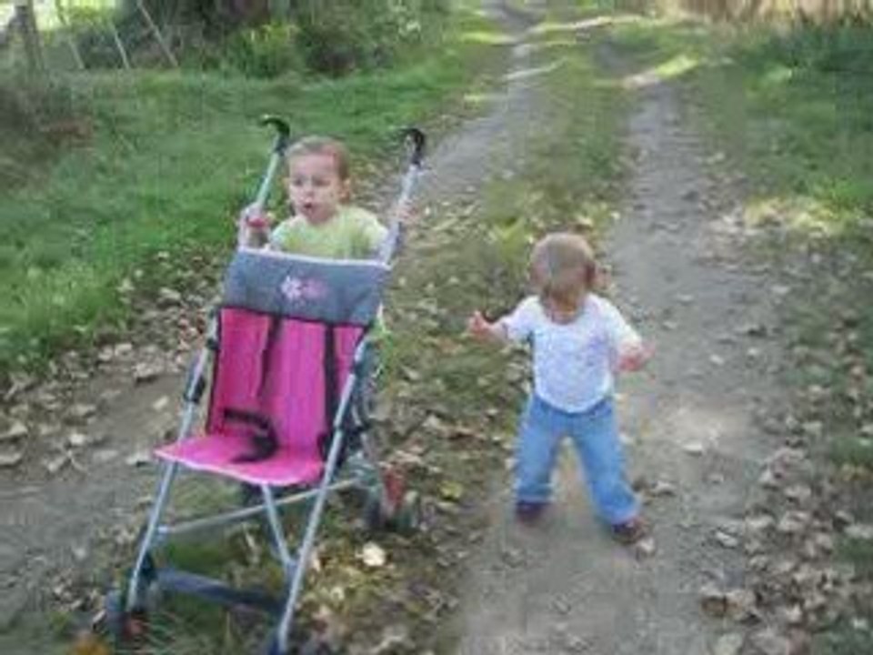 promenons nous dans les bois ...