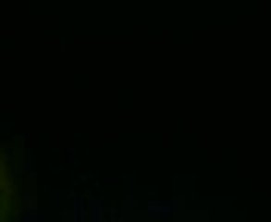 MOV02833