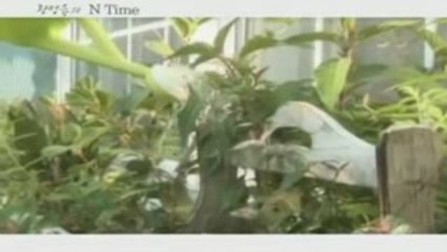 [MV] Hwang Jung Eum ft T-ara - N Time/N Natural