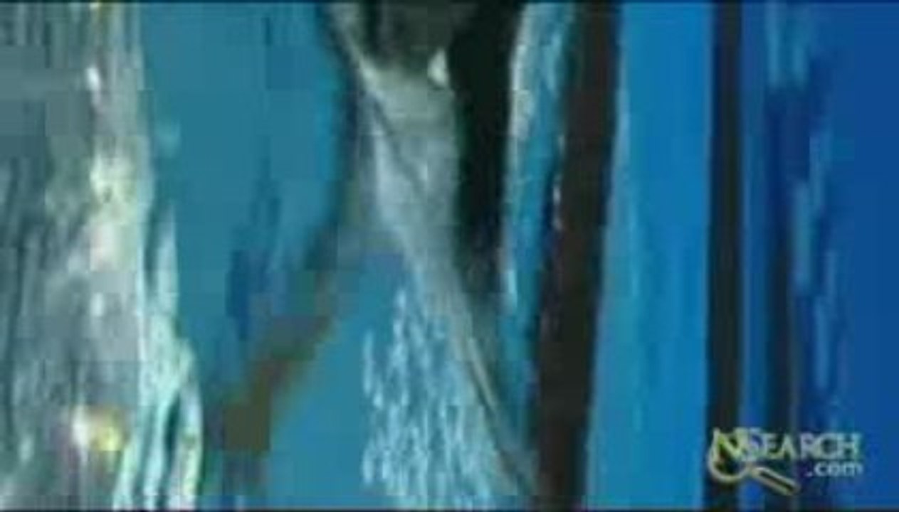 Adidas Shoes - Ian Thorpe Ad