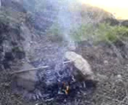 Trzmz çn lr şklmz çn yşrz ! 5