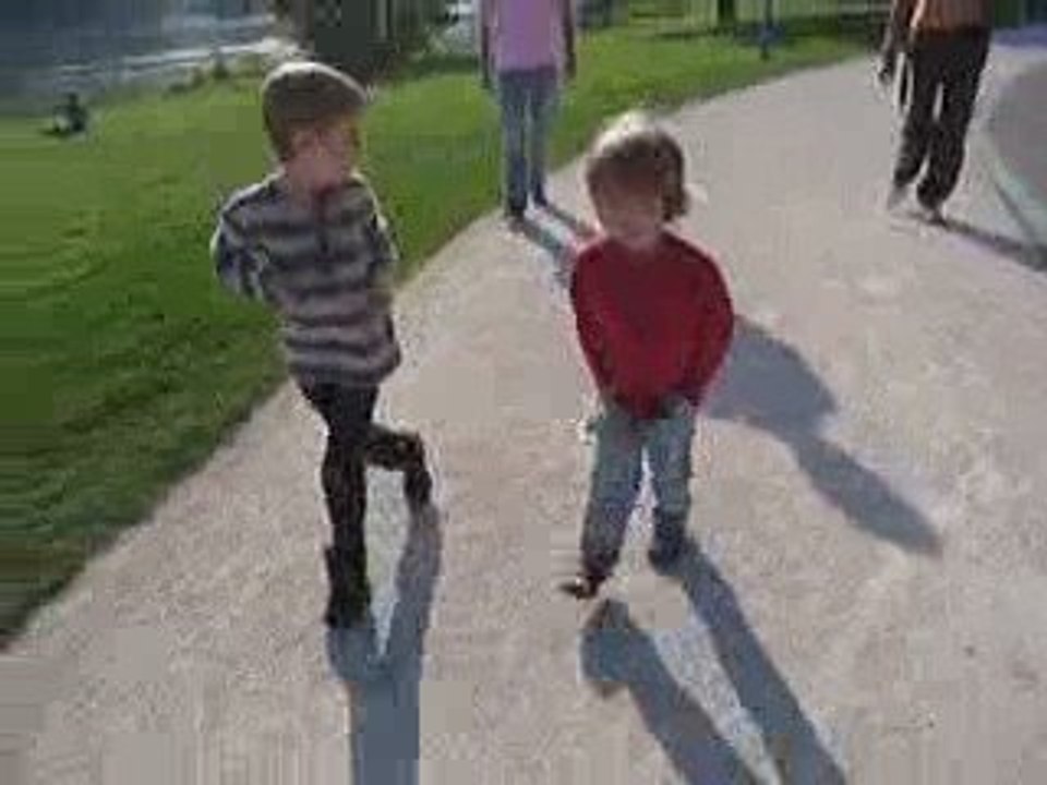 j'arrive à voler et je me prend pour une oie 2