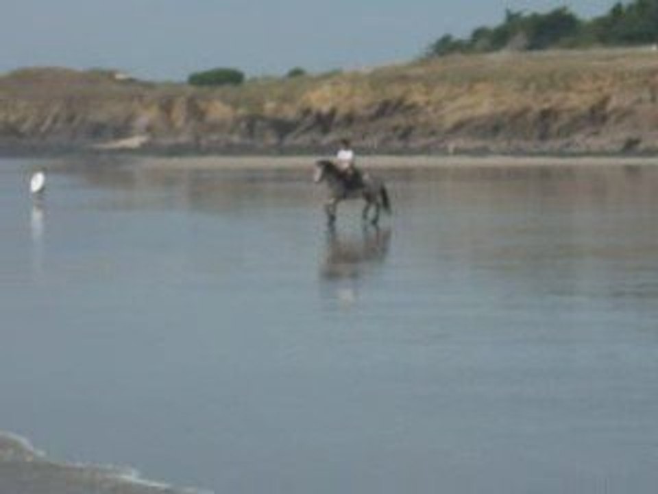 plage