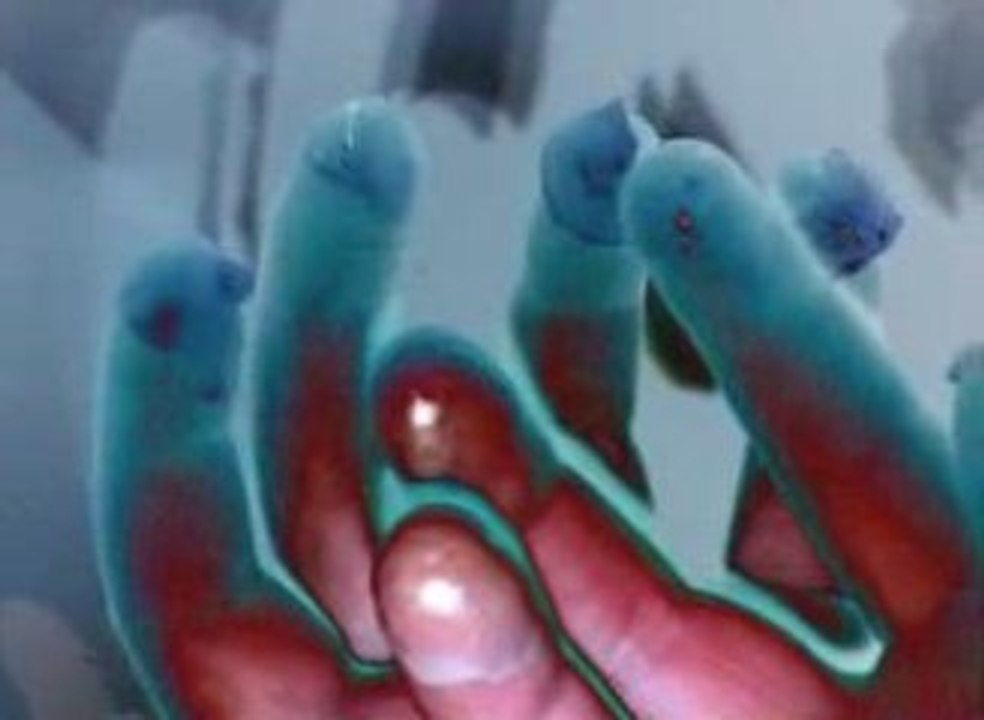 La vie dans les plis