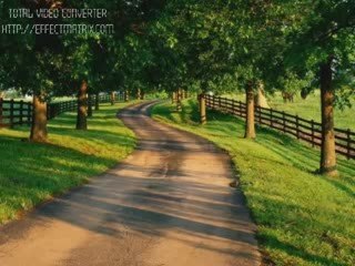 SADIK YİĞİT-SENİN İCİN