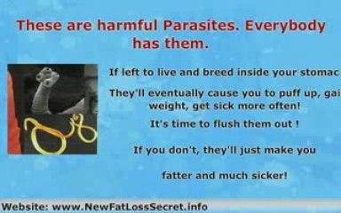 Newest Fat Loss Secrets - Inside your Guts!!