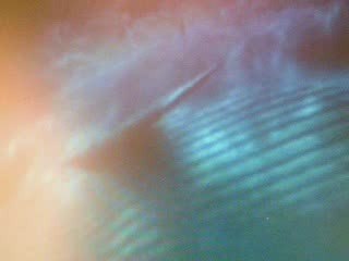 Je crois entendre encore