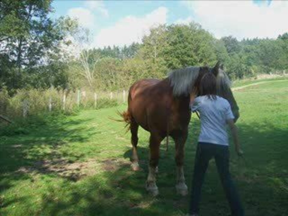 taquinne 22/09/09