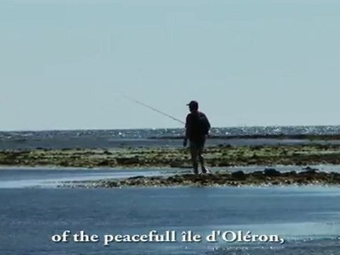 CAMPING LE SUROIT ILE D OLERON CHARENTE MARITIME