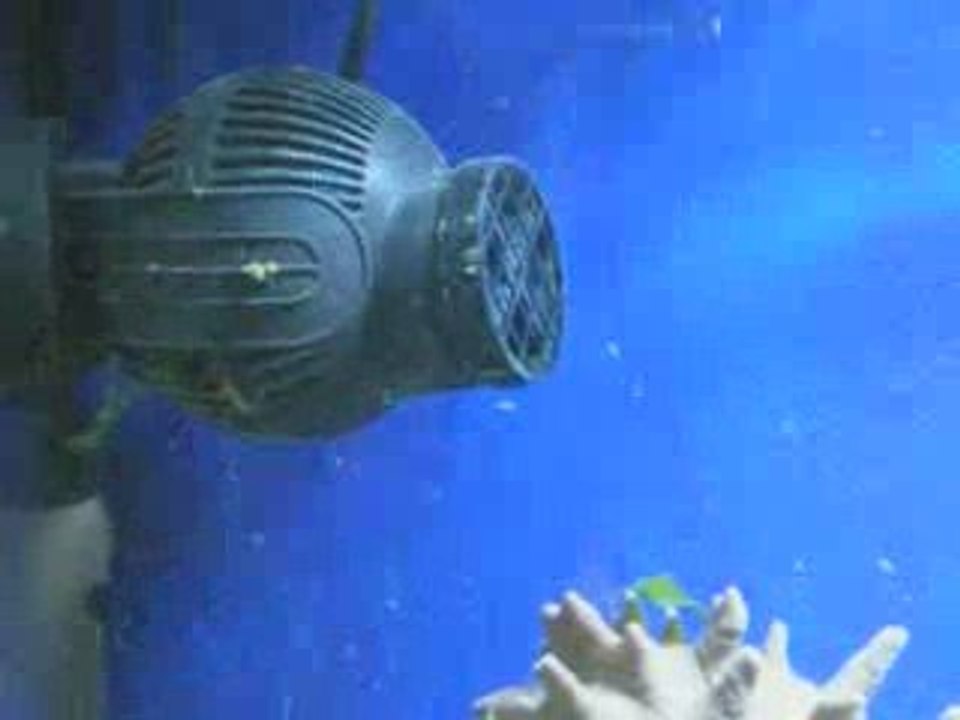 turbelle stream 6105 TUNZE