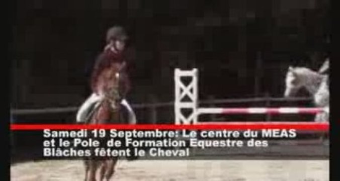 Fête du Cheval 2009. Reportage a Pierrelatte