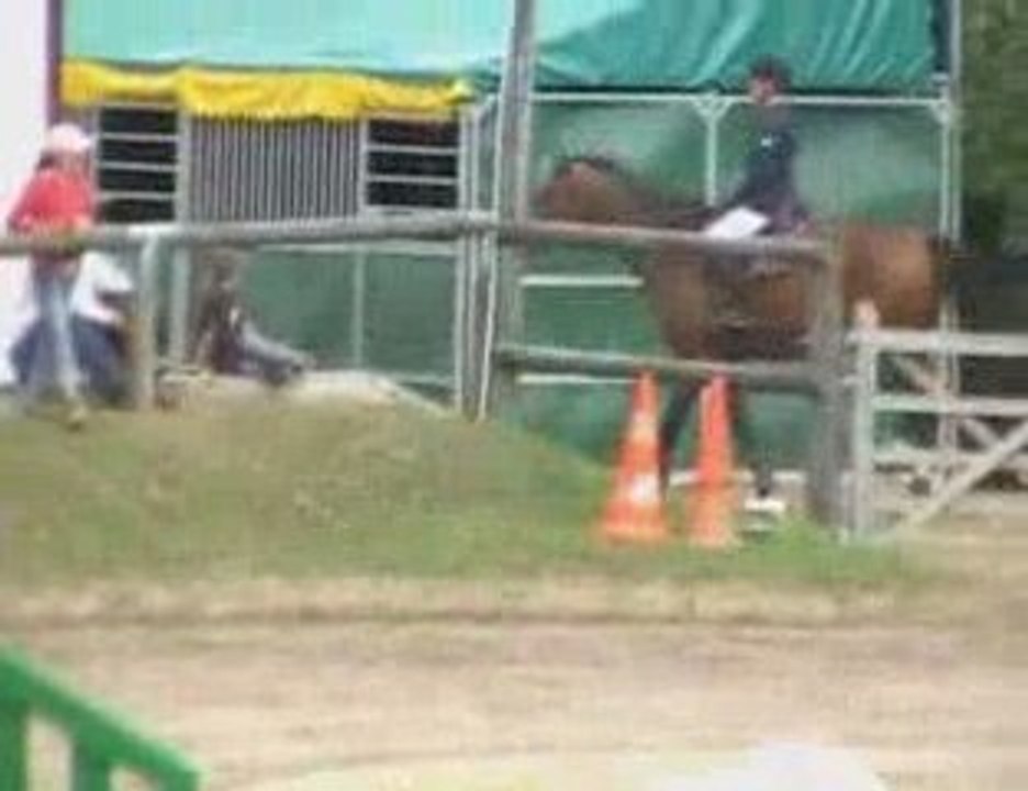 CSO BOISSY SOUS SAINT YON