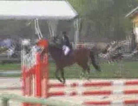 CSO MAISONS-LAFFITTE