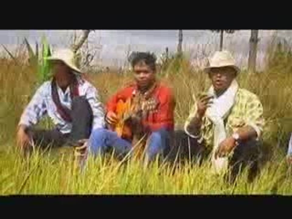KOLIBERA - Fody an'ala