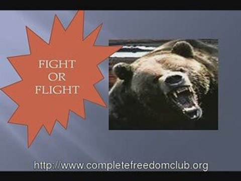 Anxiety and Panic Attacks Symptoms, Cause and Treatment