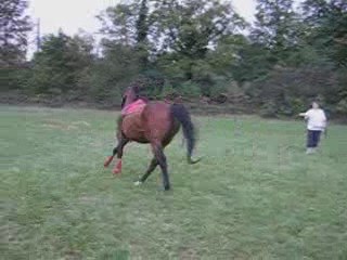 Longer Silver: Quand il n'est pas monté, il est longé