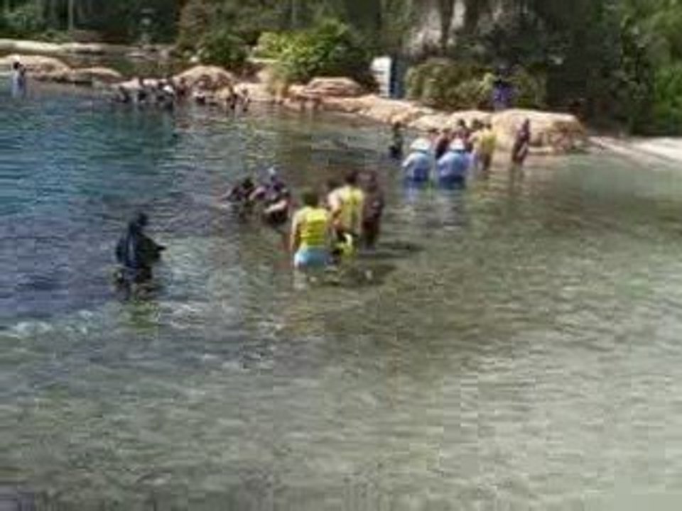 Discovery Cove