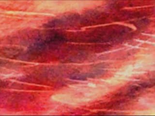 Judith Lang Zaimont - Serenade