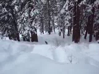 Snowboarding Serria @ Tahoe