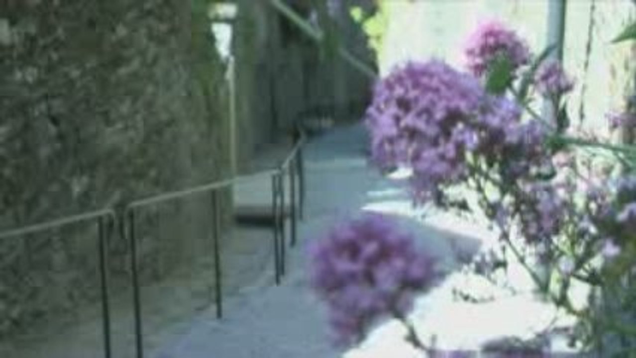 MORLAIX LES VENELLES LE PATRIMOINE