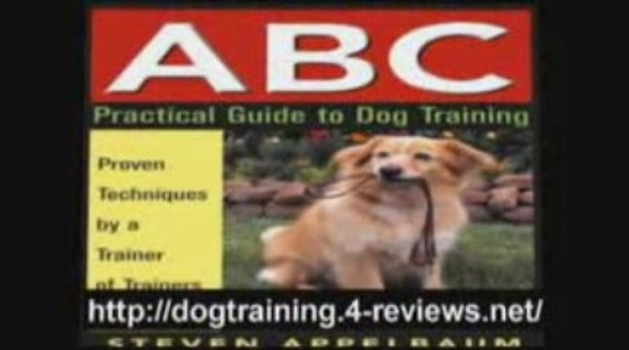 dog information