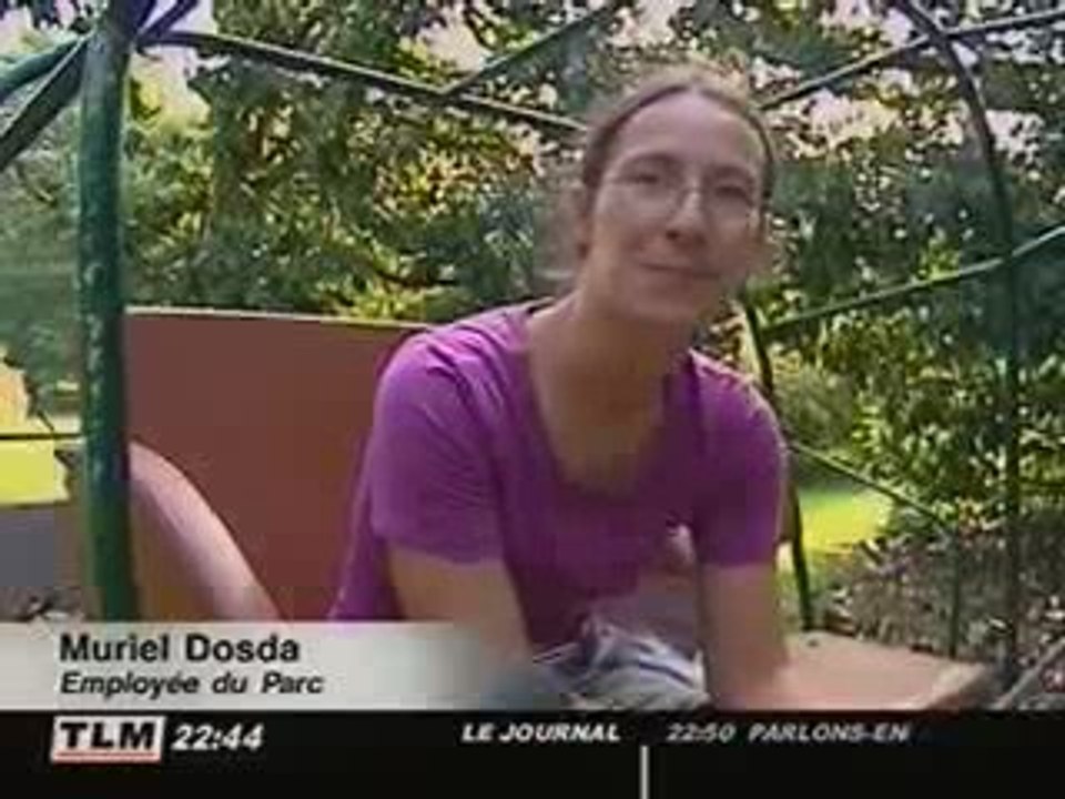 Collecte des déchets : le grand retour du cheval  (Lyon)