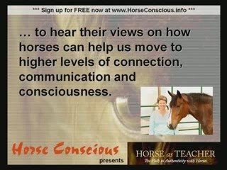 Horsemanship with Horse As Teacher